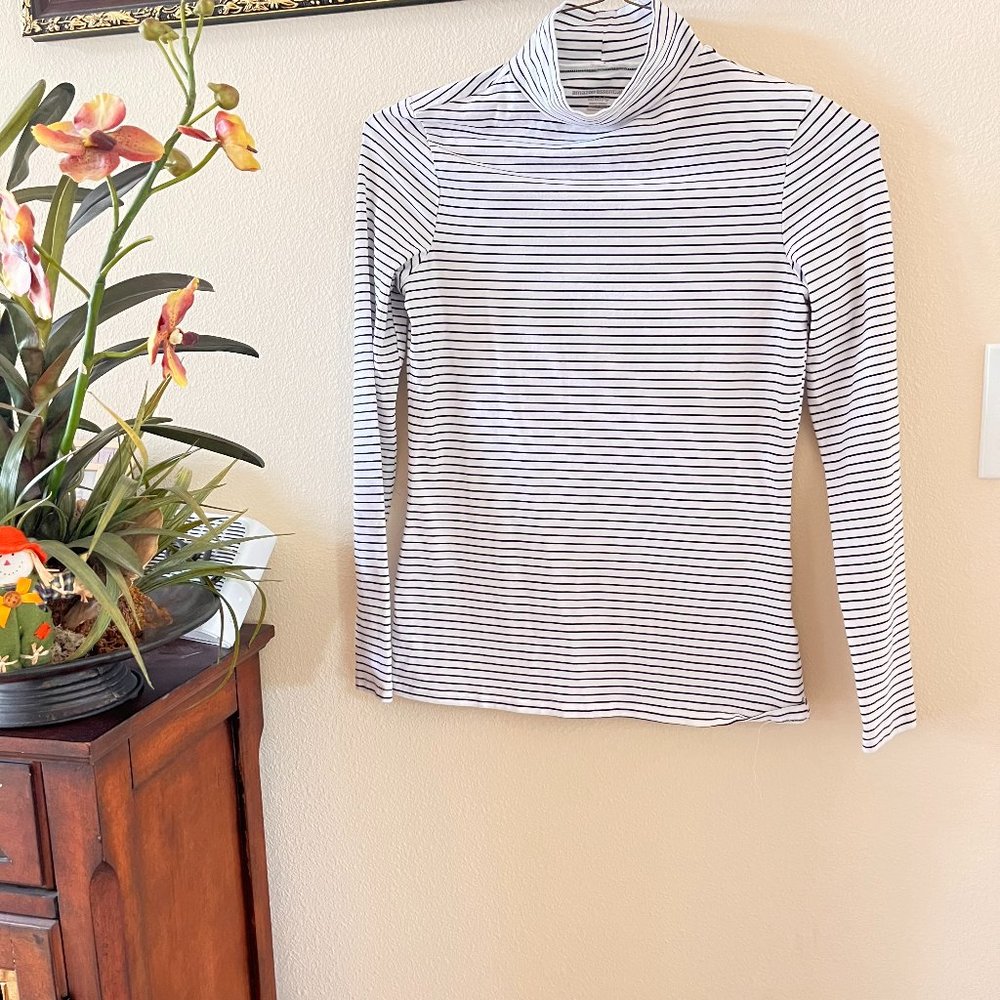 Amazon Essentials White and Black Stripe Turtleneck